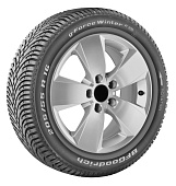 шина Bfgoodrich G-Force Winter 2 205/50R17 93H XL (2021) в Кирове