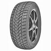 шина Delinte Winter WD1 175/70R14 88T в Кирове