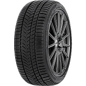 шина Autogreen WL5 245/45R19 102V XL в Кирове