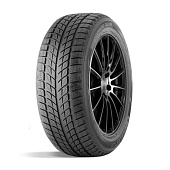 шина DoubleStar DW09 235/55R17 99T в Кирове