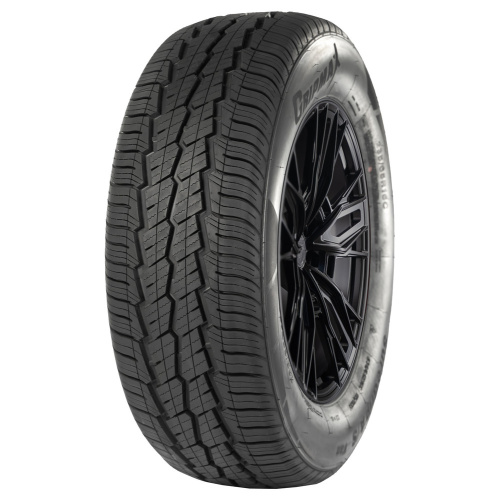 Gripmax SureGrip A/S Van 175/75R16C 101/99T BSW (2021)